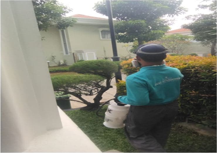 Teknisi ISTA PEST melakukan treatment di area luar bangunan