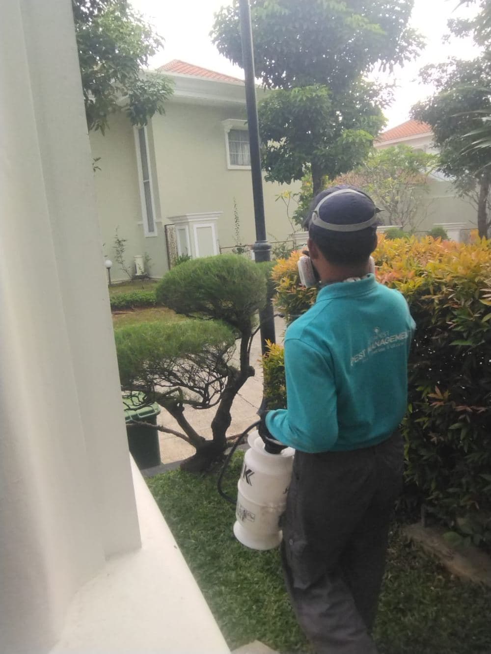 Treatment hama di area rumah tinggal