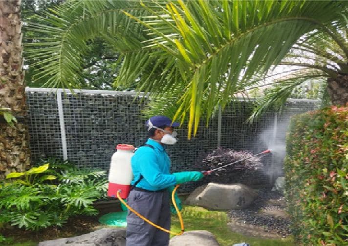 Penyemprotan hama di taman oleh ISTA PEST