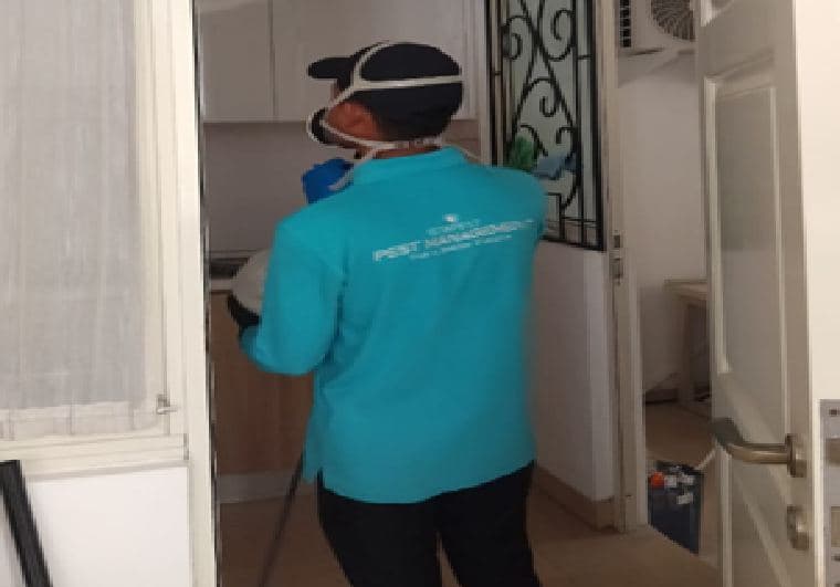 Teknisi ISTA PEST melakukan treatment hama di dalam ruangan